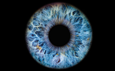 Behind the Lens: How Images Shape Brand Perception